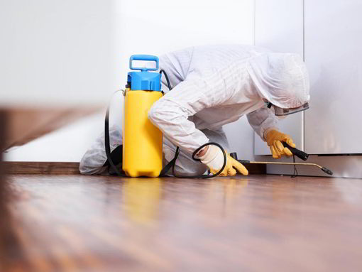 Disinfection Cleaner by Luxury Cleaning NY